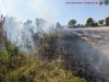 Brand - Freifläche, A81 Richtung Heilbronn, 23.08.2022